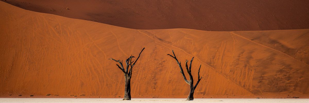 Lignes du Temps Deadvlei Sossusvlei panoramique Namibie Photo Sebastien Desnoulez Photographe une image pour rever