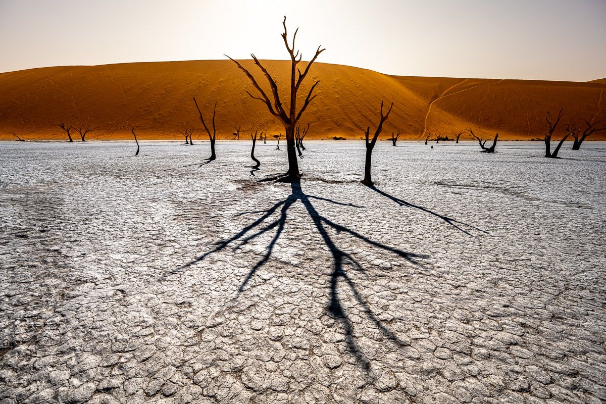 Les Ombres de Deadvlei Sossusvlei Namibie Photo Sebastien Desnoulez Photographe une image pour rever