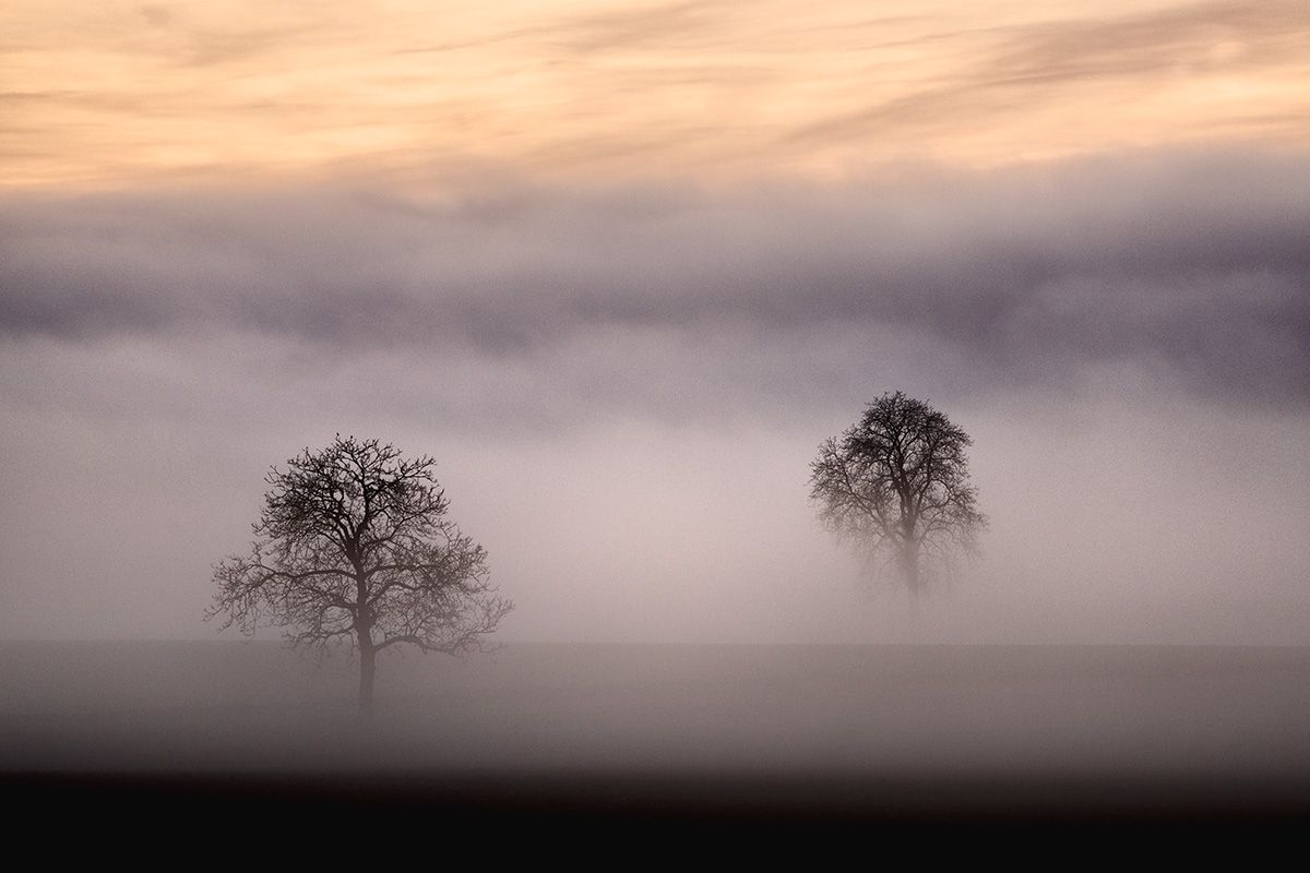 Le reveil de la campagne 2 Pierre Chancy tirage Fine Art Une image pour rever