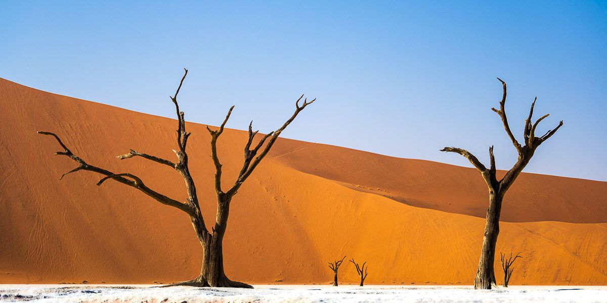 Echo Silencieux Deadvlei Sossusvlei Namibie Photo Sebastien Desnoulez Photographe une image pour rever