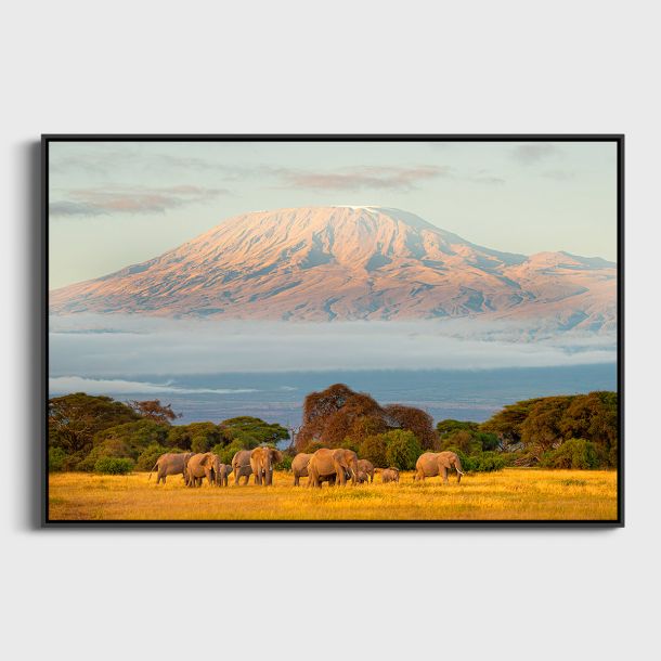 Elephants et Kilimandjaro Lionel Maye tirage Fine Art Une image pour rever caisse americaine