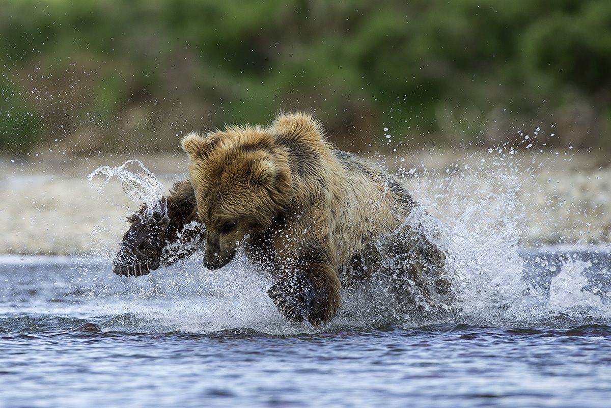 La peche Lionel Maye tirage Fine Art Une image pour rever