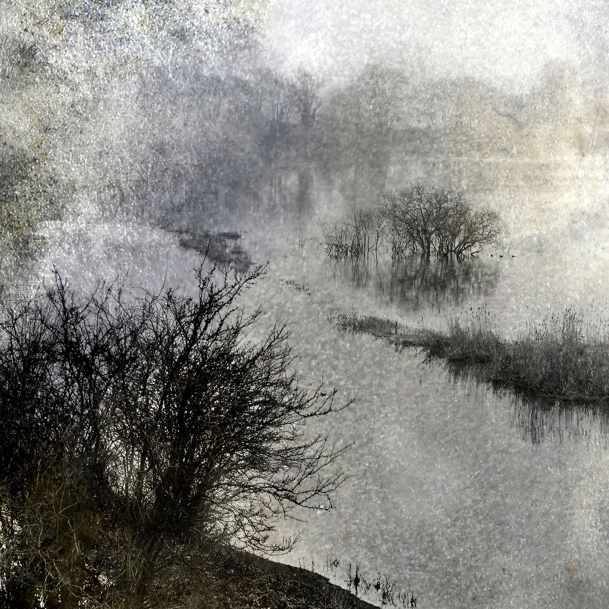 Brume d hiver Yves Langlois tirage Fine Art Une image pour rever