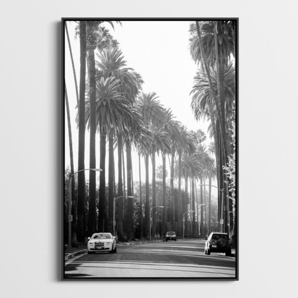 Beverly Hills Sebastien Desnoulez tirage Fine Art Une image pour rever caisse americaine