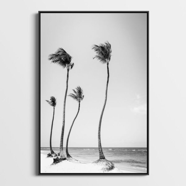 Coconut coast Sebastien Desnoulez tirage Fine Art Une image pour rever caisse americaine