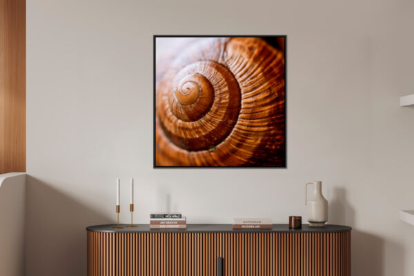 Escargot bourguignon Pierre Chancy tirage Fine Art Une image pour rever caisse americaine