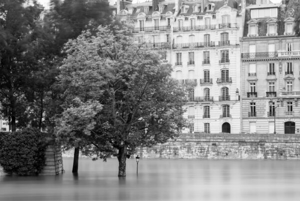 Seine in flood Sebastien Desnoulez Fine Art print Une image pour rever