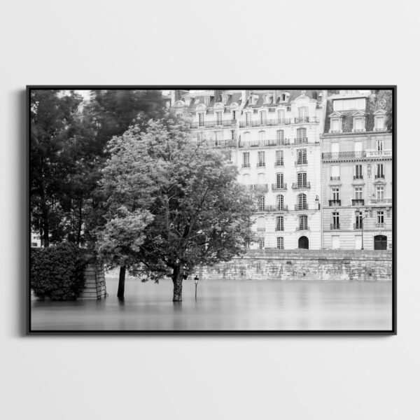 Seine en crue Sebastien Desnoulez Fine Art print Une image pour rever caisse americaine