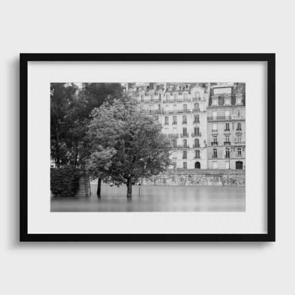 Seine in flood Sebastien Desnoulez Fine Art print An image for rever passe partout