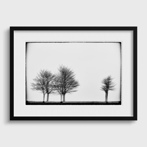 Three times three trees Glitches Serie Sebastien Desnoulez tirage Fine Art Une image pour rever Passe partout