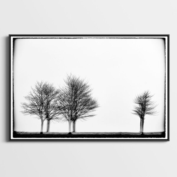 Three times three trees Glitches Serie Sebastien Desnoulez tirage Fine Art Une image pour rever caisse americaine