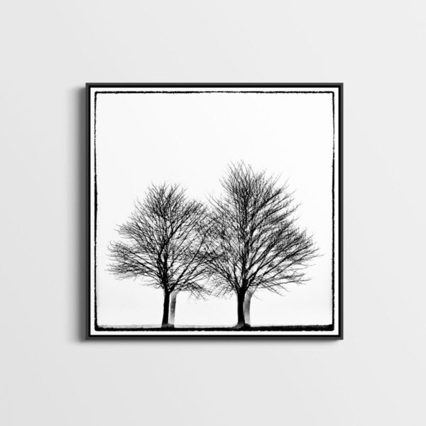 Three times two trees Glitches Serie Sebastien Desnoulez tirage Fine Art Une image pour rever caisse americaine