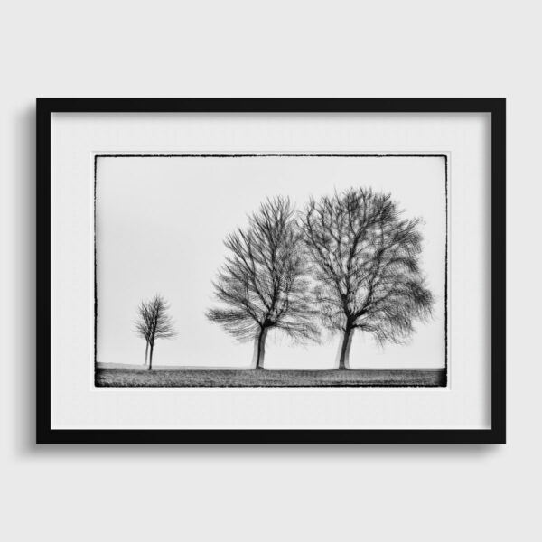 Three trees Glitches Serie Sebastien Desnoulez tirage Fine Art Une image pour rever Passe partout