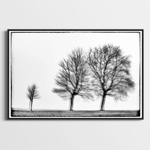 Three trees Glitches Serie Sebastien Desnoulez tirage Fine Art Une image pour rever caisse americaine