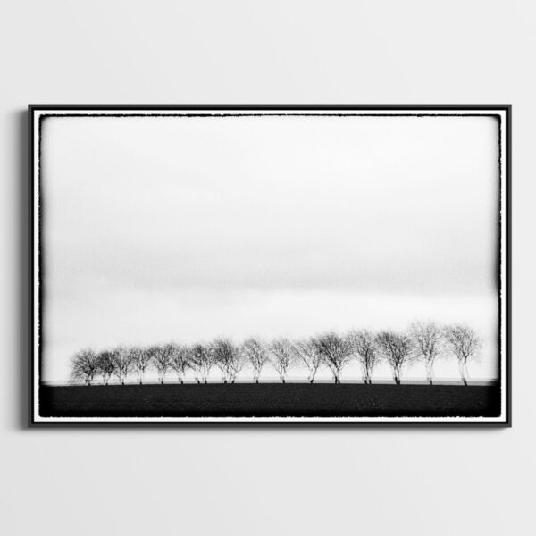 Trees I Glitches Serie Sebastien Desnoulez tirage Fine Art Une image pour rever caisse americaine