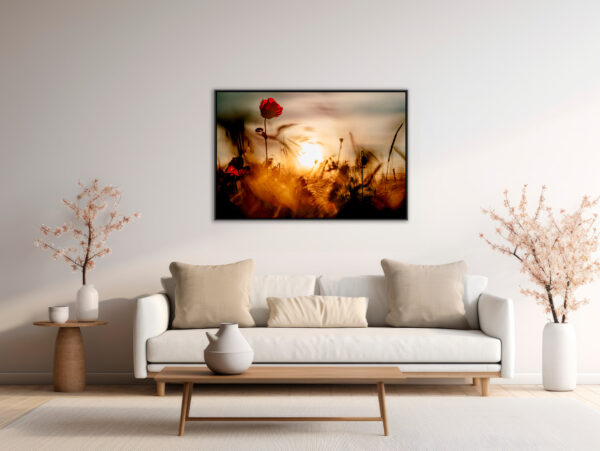 Coquelicot 1 Pierre Chancy Fine Art print One image for rever caisse americaine en situation