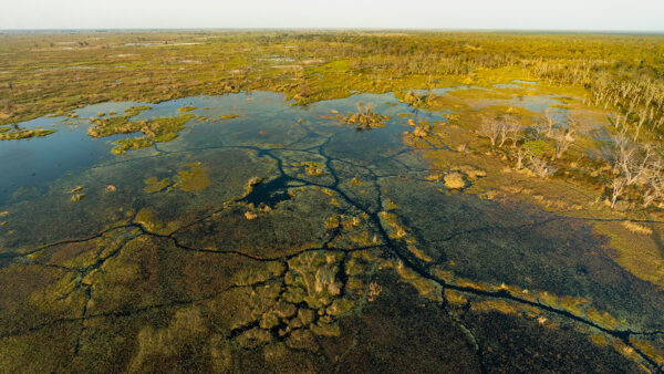 Delta de l Okavango Lionel Maye tirage Fine Art Une image pour rever