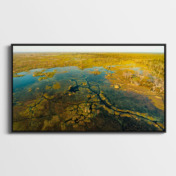 Delta de l Okavango Lionel Maye tirage Fine Art Une image pour rever caisse americaine