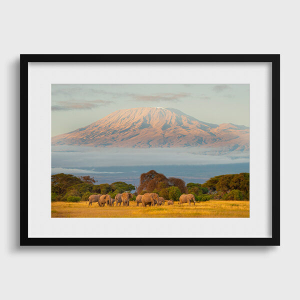 Elephants and Kilimanjaro Lionel Maye Fine Art print An image for rever passe partout