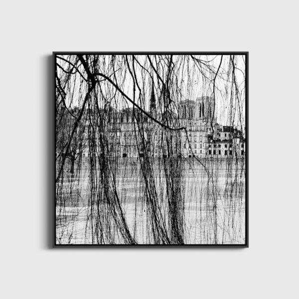 Rideau de branches Yves Langlois tirage Fine Art Une image pour rever caisse americaine