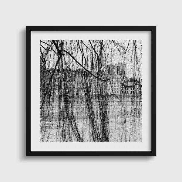 Rideau de branches Yves Langlois tirage Fine Art Une image pour rever passe partout