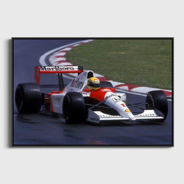 Ayrton Senna GP San Marin F1 1991 Sebastien Desnoulez tirage Fine Art Une image pour rever caisse americaine