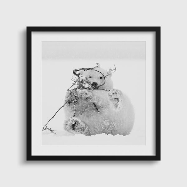 Bebe s'amuse Lionel Maye Fine Art print An image for rever passe partout