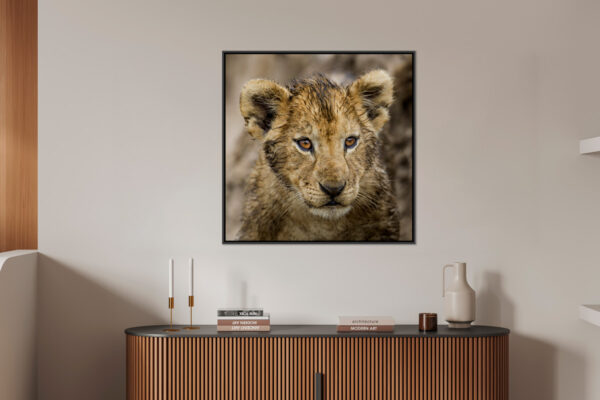 Bouille mouillee Lionel Maye Fine Art print An image to dream large Floating frame in situation