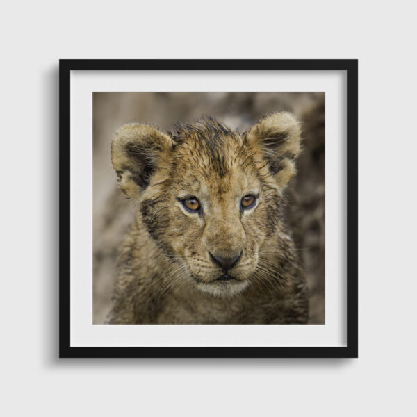 Bouille mouillee Lionel Maye Fine Art print Une image pour rever passe partout