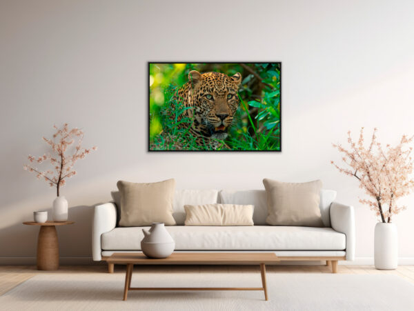 Force tranquille Lionel Maye Fine Art print An image for revering floating frame in situation