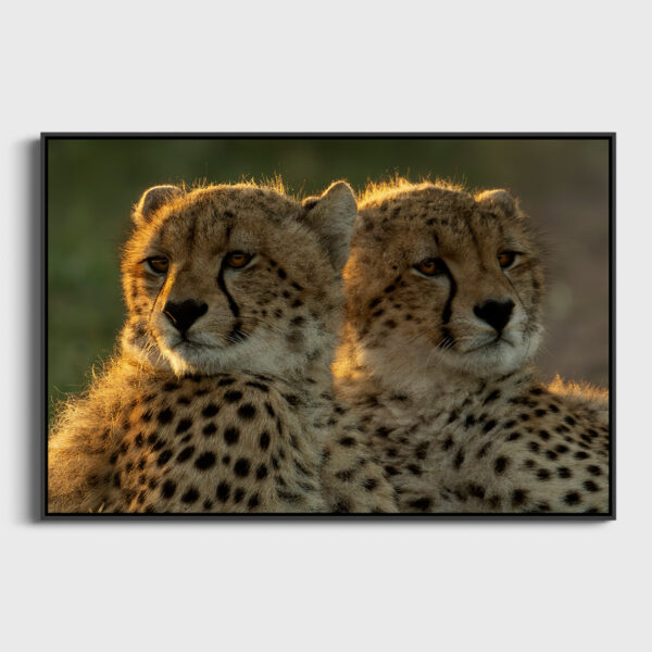 Les 2 freres Lionel Maye Fine Art print Une image pour rever caisse americaine