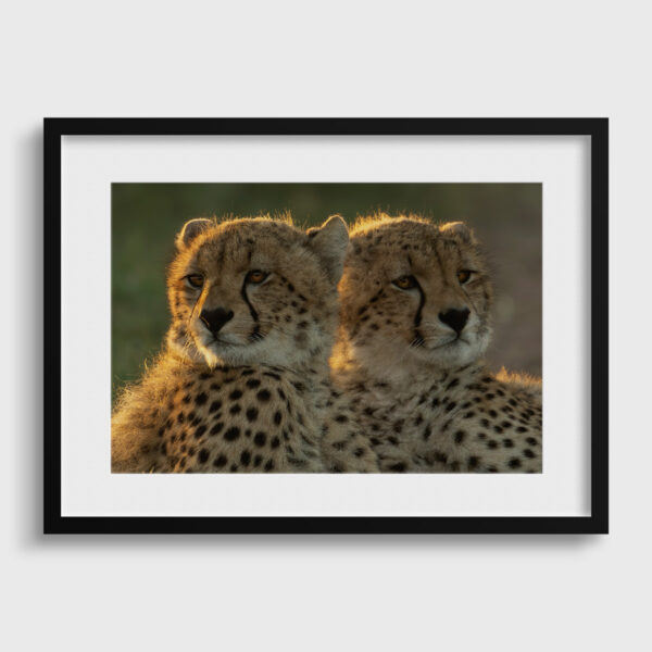 Les 2 freres Lionel Maye Fine Art print Une image pour rever passe partout