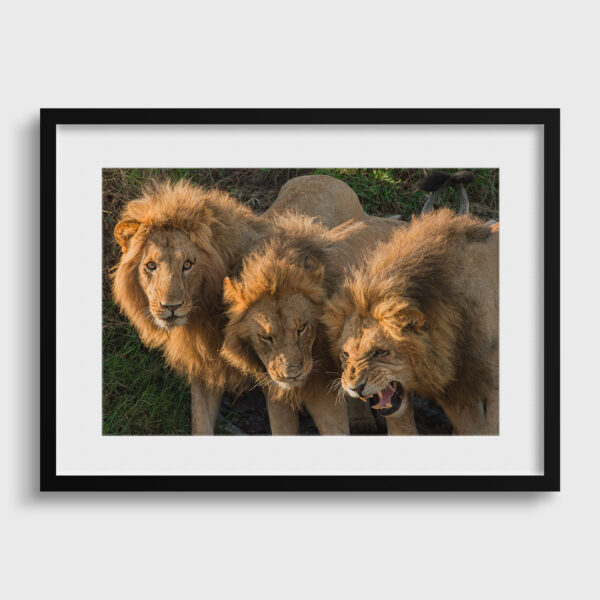 Les 3 freres Lionel Maye Fine Art print An image to dream of everywhere