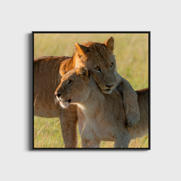 Soeurs tendresse Lionel Maye Fine Art print An image for rever large Floating frame