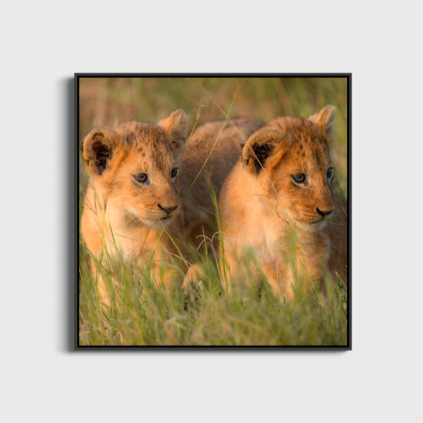 You saw Lionel Maye Fine Art print An image to dream large Floating frame