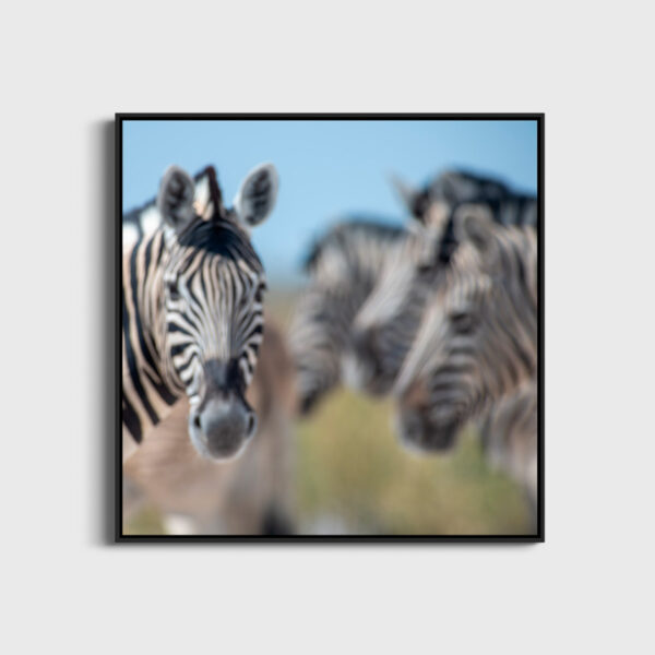 Blurred in the Savanna - Image 3