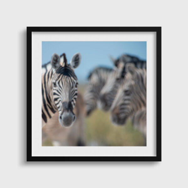 Blurred in the Savanna - Image 2