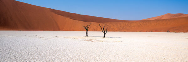 Dead Vlei