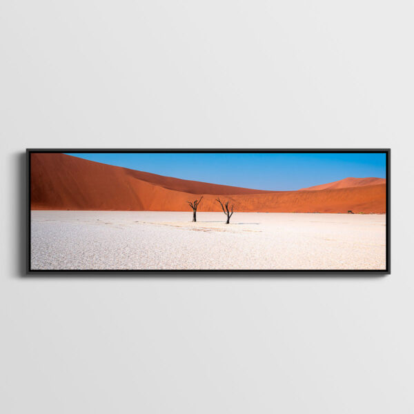 Dead Vlei - Image 2