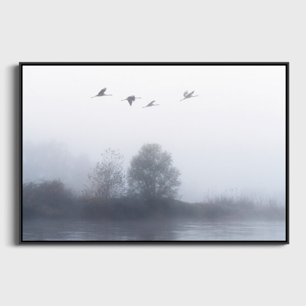 L envol des grues cendrees 3 Pierre Chancy tirage Fine Art Une image pour rever caisse americaine