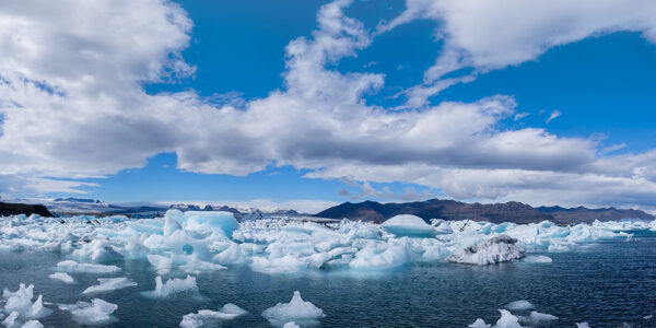 The Guardians of Jökulsárlón