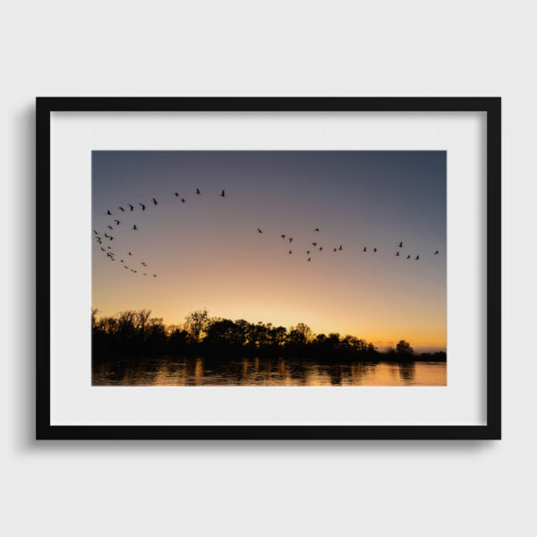 Passage des grues cendrees Pierre Chancy tirage Fine Art Une image pour rever passe partout