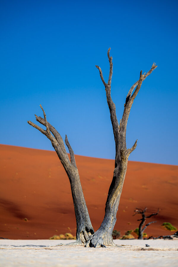 Les Gardiens de Deadvlei Sossusvlei Namibie Photo Sebastien Desnoulez Photographe une image pour rever