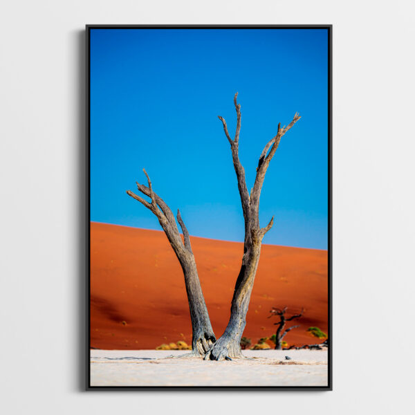 Les Gardiens de Deadvlei Sossusvlei Namibie Photo Sebastien Desnoulez Photographe une image pour rever caisse americaine