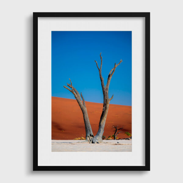 Les Gardiens de Deadvlei Sossusvlei Namibie Photo Sebastien Desnoulez Photographe une image pour rever passe partout