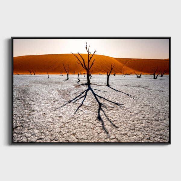 Les Ombres de Deadvlei Sossusvlei Namibie Photo Sebastien Desnoulez Photographe une image pour rever caisse americaine