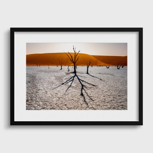 Les Ombres de Deadvlei Sossusvlei Namibie Photo Sebastien Desnoulez Photographe une image pour rever passe partout