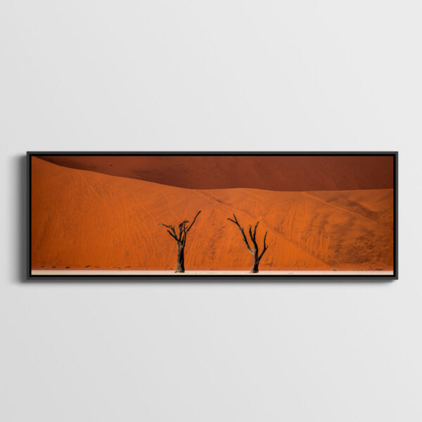 Lignes du Temps Deadvlei Sossusvlei panoramique Namibie Photo Sebastien Desnoulez Photographe une image pour rever caisse americaine