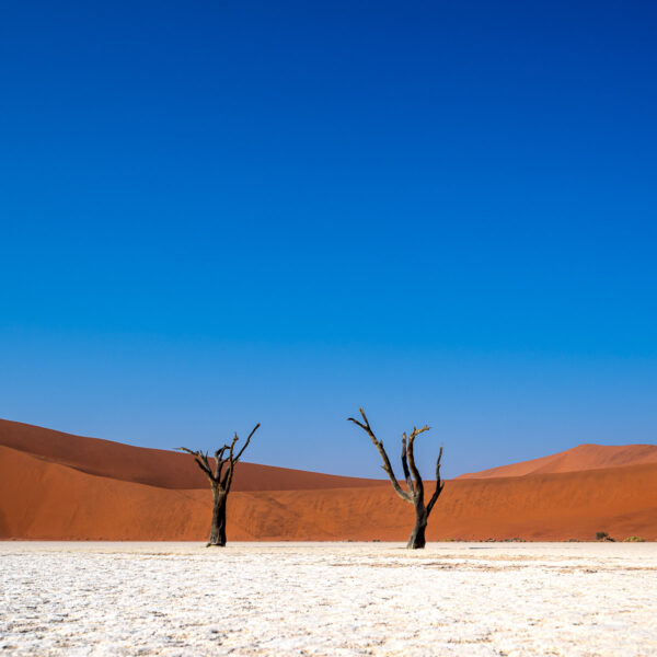 Solitude eternelle Deadvlei Sossusvlei Namibie Photo Sebastien Desnoulez Photographe une image pour rever