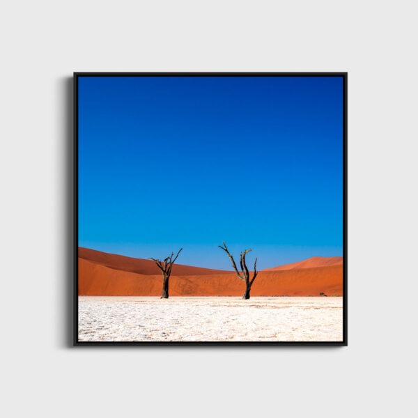 Solitude eternelle Deadvlei Sossusvlei Namibie Photo Sebastien Desnoulez Photographe une image pour rever caisse americaine